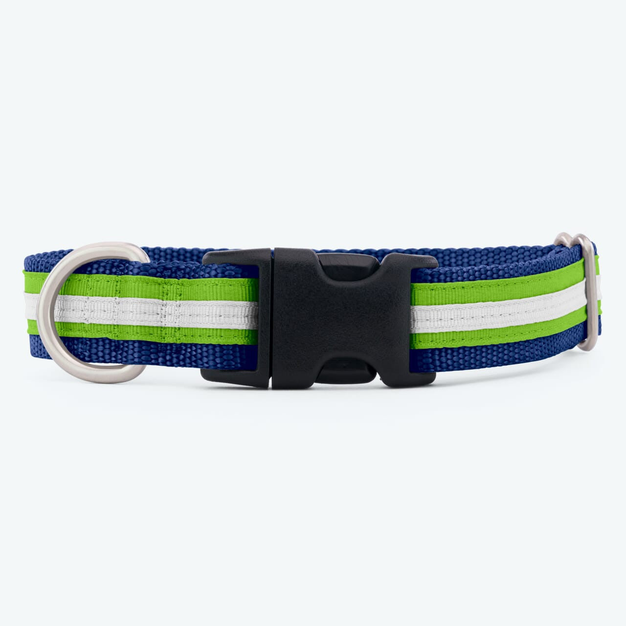 Striped Webbing Dog Collar