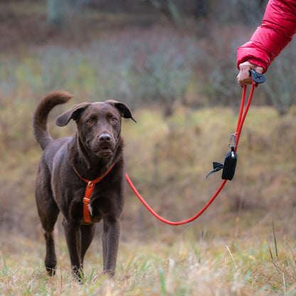 Rope Dog Leash