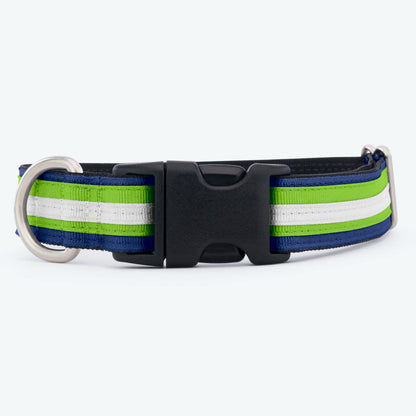 Striped Comfort Dog Collar