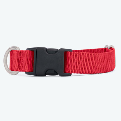 Webbing Dog Collar