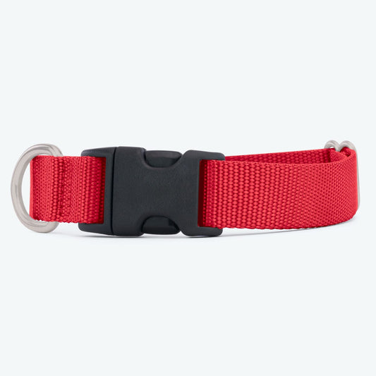 Webbing Dog Collar