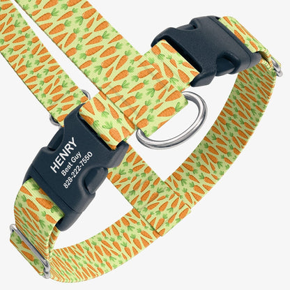 Carrot Party Harness